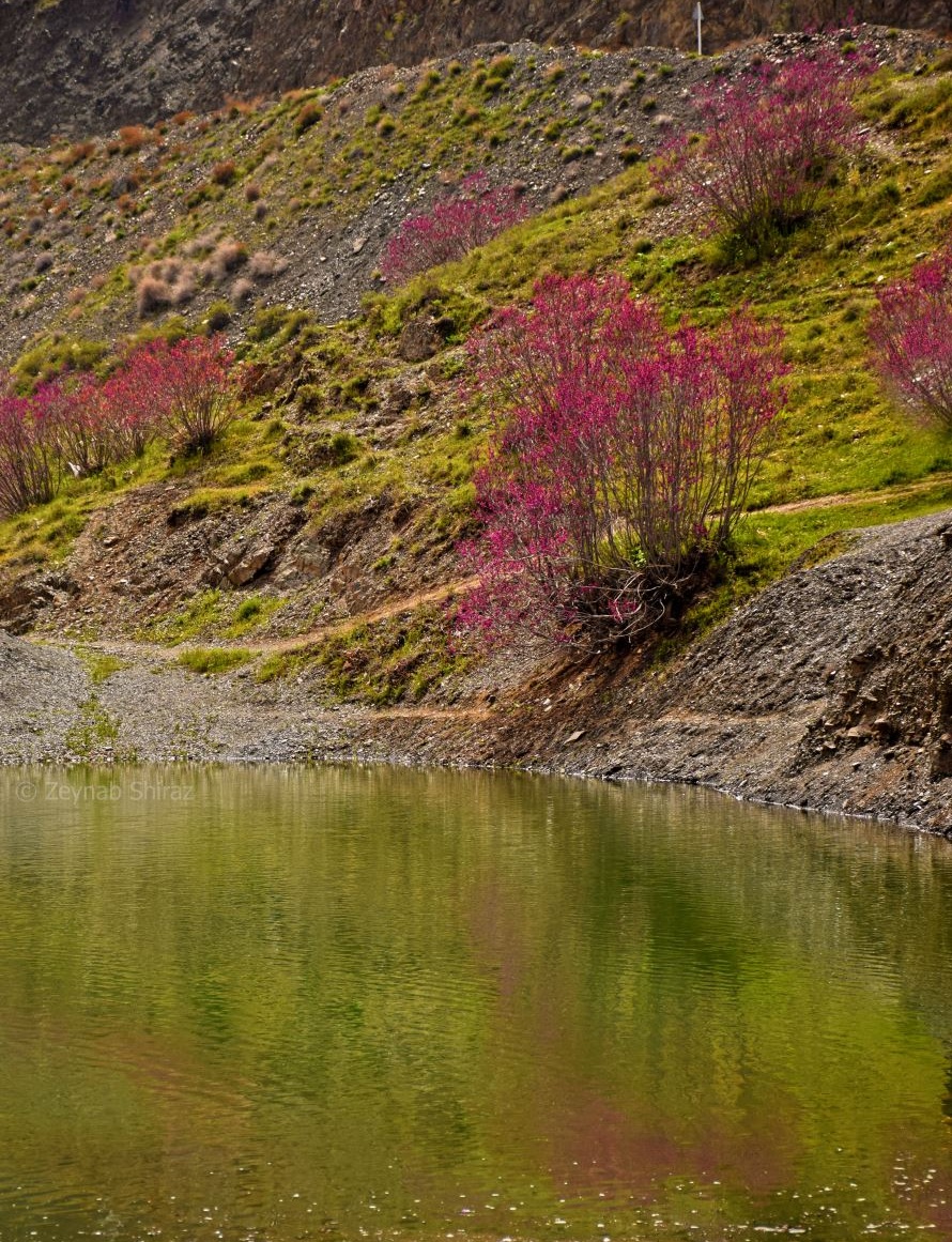 عکس های دره ارغوان مشهد طرقبه جاغرق