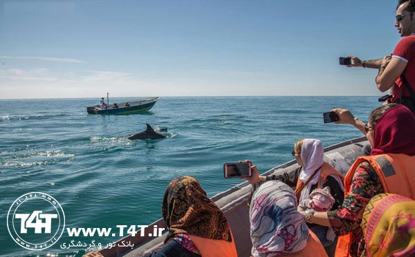 تور ارزان قشم هوایی