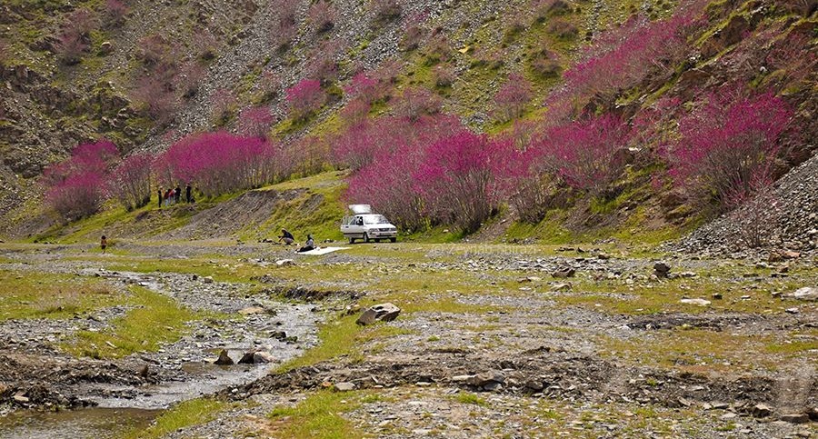 زیبایی های دره ارغوان طرقبه مشهد