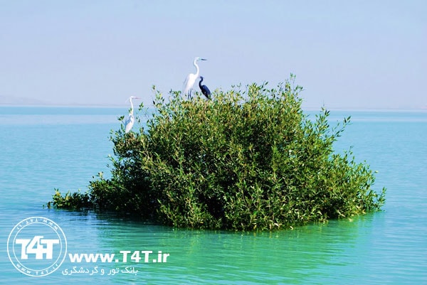 تور قشم لحظه آخری از مشهد