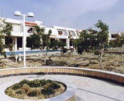 هتل نخل زرین